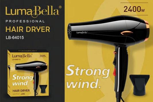 Professional Hair Dryer | 2400W