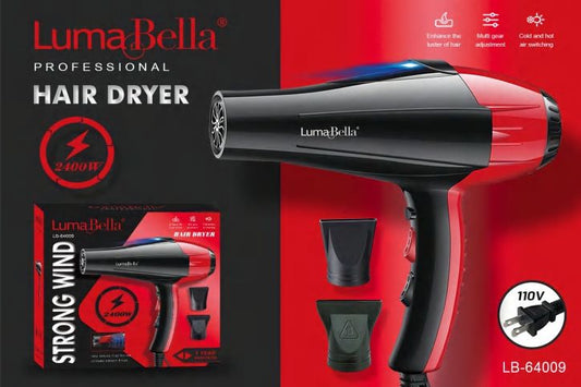 Professional Hair Dryer | 2400W